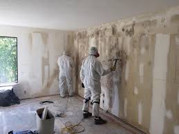 Best Mold Odor Removal Services  in Ellenton, FL